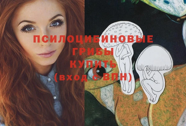 apvp Балабаново