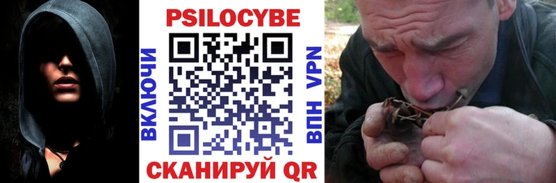 Галлюциногенные грибы Psilocybine cubensis  Малмыж 