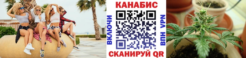 Конопля OG Kush  Малмыж 